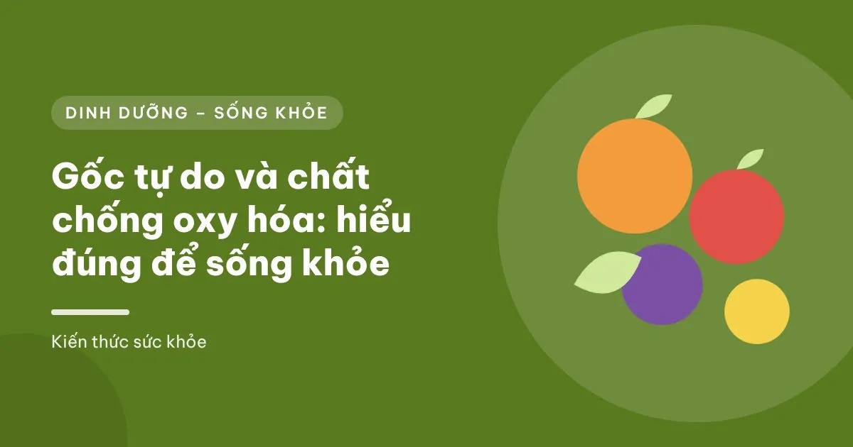 Minh họa đồ họa đĩa rau củ quả nhiều màu sắc bên cạnh hình tế bào được bảo vệ khỏi gốc tự do