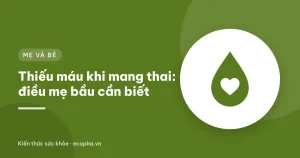 Minh họa phụ nữ mang thai bên các thực phẩm giàu sắt như thịt nạc, cá, đậu, rau lá xanh đậm và trái cây giàu vitamin C