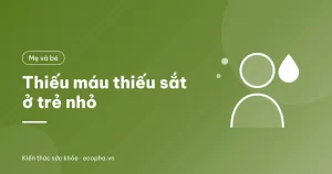 Mẹ đút cho bé ăn dặm món thịt băm, rau xanh và trái cây giàu vitamin C